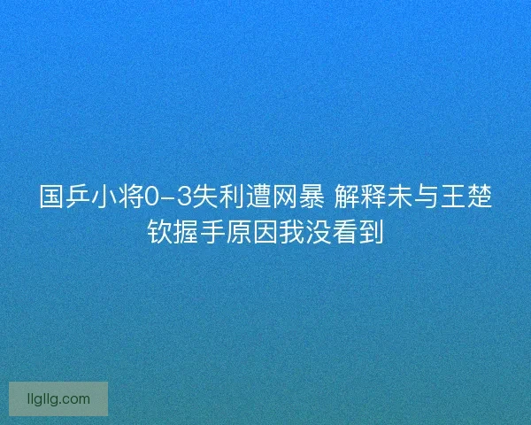 国乒小将0-3失利遭网暴 解释未与王楚钦握手原因我没看到
